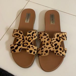 Steve Madden | Leopard Sandal